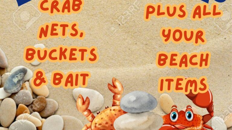 WhatsApp-Image-2026-02-01-at-16.20.11