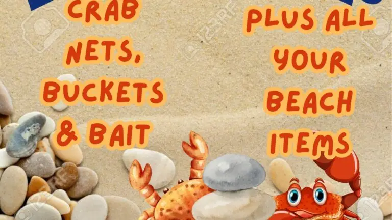 WhatsApp-Image-2026-02-01-at-16.20.11